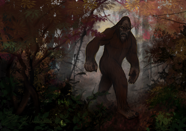 Did Bigfoot Just Visit Britain? Watch The Video And Judge For Yourself!