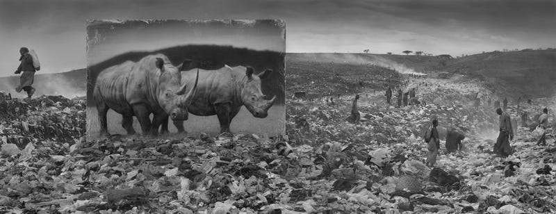 Harrowing Photographs Depict East Africa's Dystopian Future