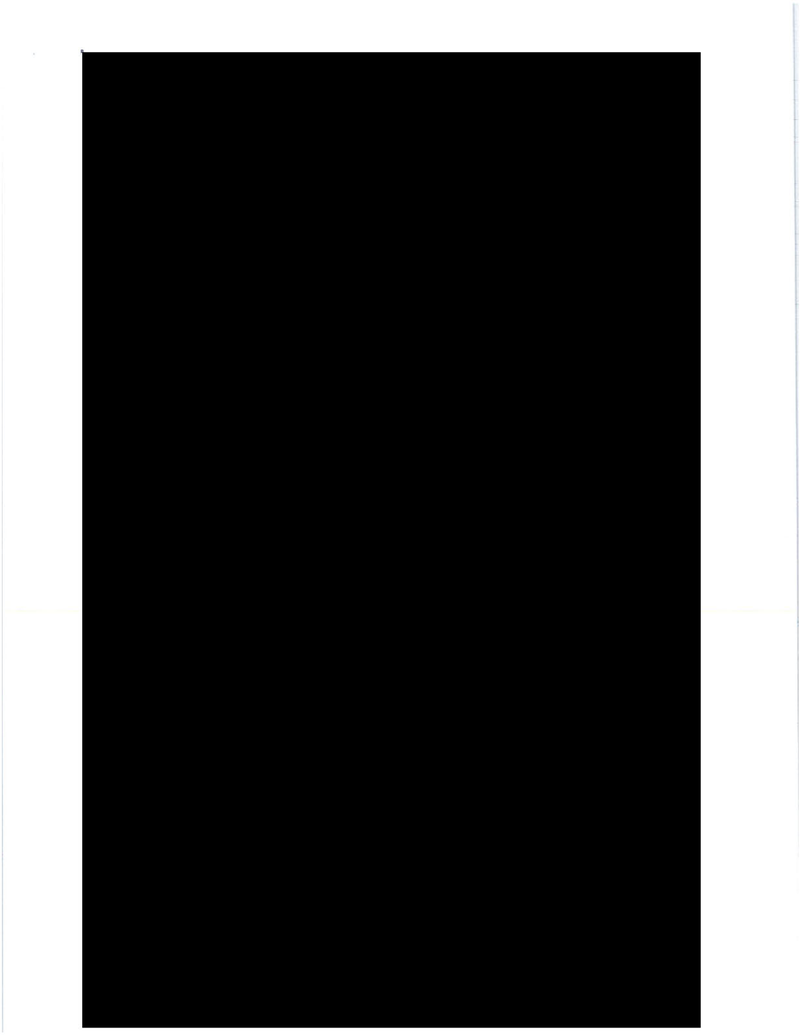 What Do You Think Is in These 73 Straight Pages of Fully Redacted Emails?