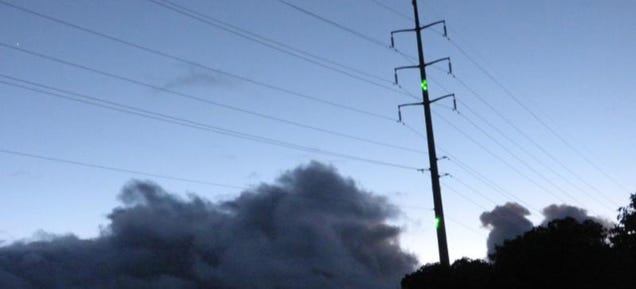 Hawaii's Using Lasers to Scare Endangered Birds Away From Power Lines