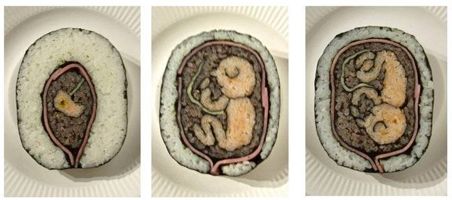 Scientific Sushi Art Is The Best Sushi Art