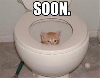 I'm getting a new toilet today!