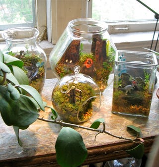 Star Wars terrariums bring a little piece of Dagobah into your home