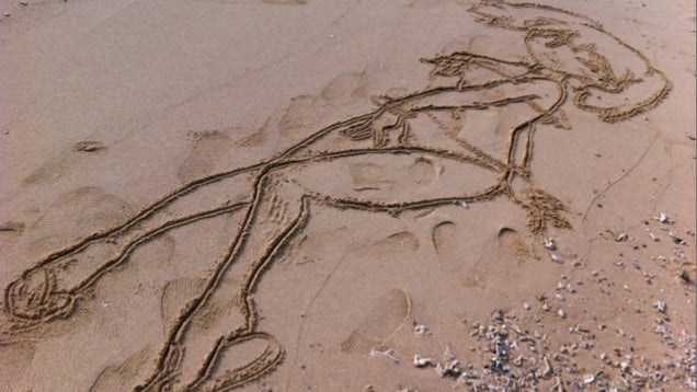 This Guy Doesn't Need Paper to Draw Cute Characters. Sand Will Do.
