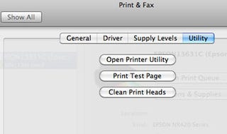 How to Install a Printer