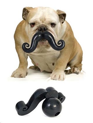 Gifts For Your Dog