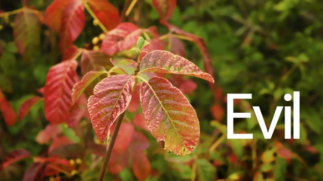 63 Essential Things to Learn Before 2012 Ends