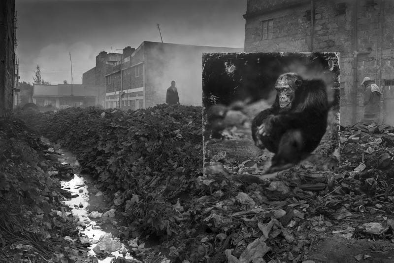 Harrowing Photographs Depict East Africa's Dystopian Future