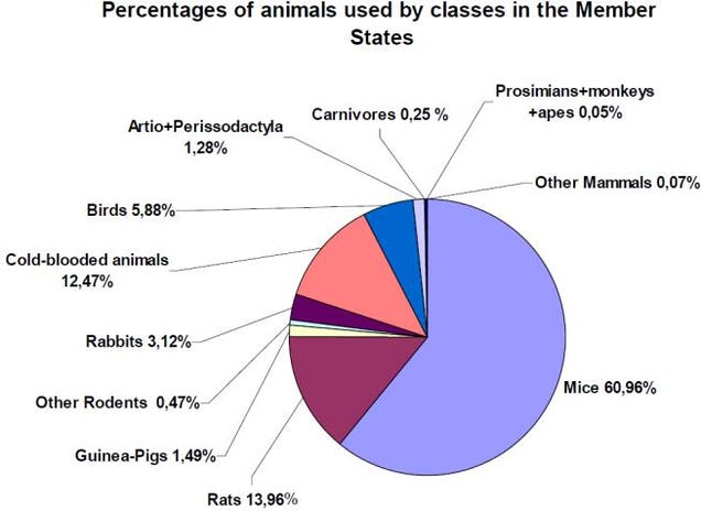 [UPDATED] Why the U.S. Is One of the Cruelest Places in the World for Lab Animals