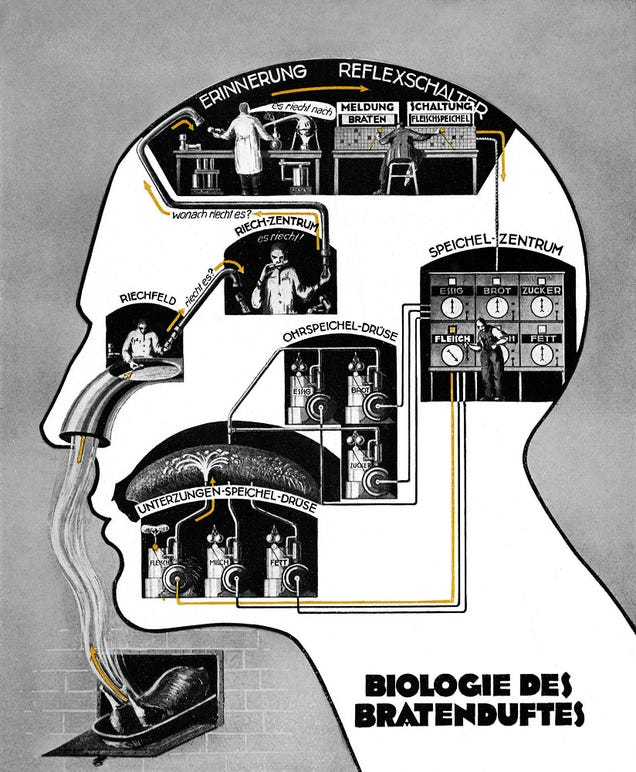 Fritz Kahn's Whimsical Infographics Turn People Into Contraptions