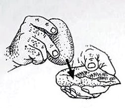 Humans Built Fires 500 Thousand Years Before They Could Speak