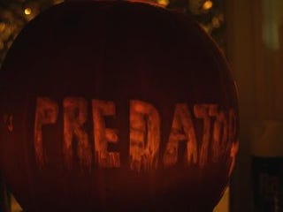 Kotaku's Super Huge Pumpkin Patch (Part One)