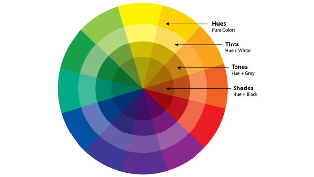 Hues, Tints, Tones and Shades – What's the Difference? - Segmation