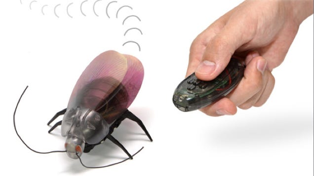 Japan's Remote Controlled Cockroaches Will Invade Your Kitchen