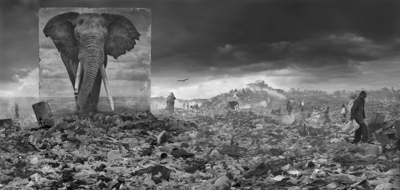 Harrowing Photographs Depict East Africa's Dystopian Future