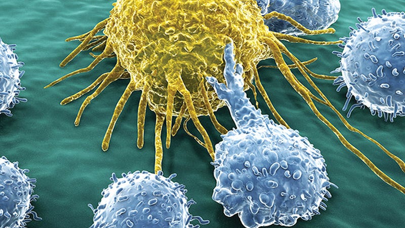Sean Parker's $250 Million Plan to Annihilate Cancer