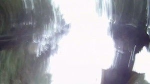 The Best Videos of the Week