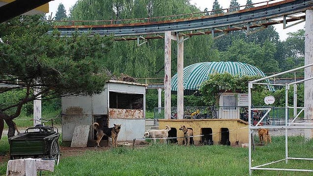 The Happiest Place in the Saddest Place on Earth Is Still Pretty Depressing