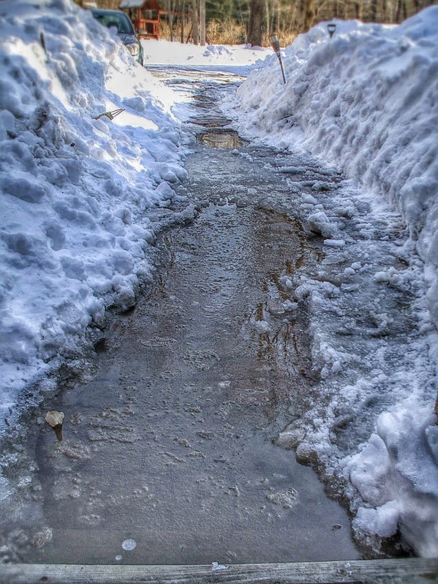 27 Serendipitous Shots Of Spring
