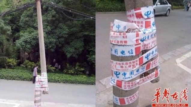 Broken Telephone Pole? No Biggie, We've Got Tape.