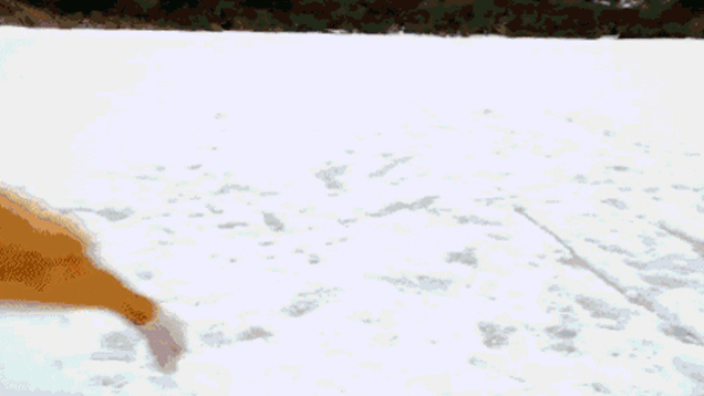 Everyone Wants to Ride Motorcycles Like in Akira