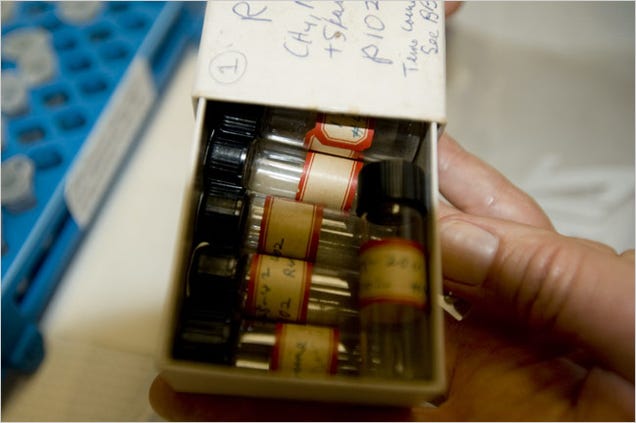 Chemist Discovers the Origins of Life in a Cardboard Box