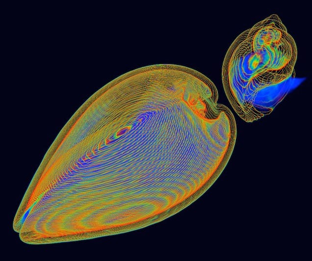 The Year's Best Visualizations of Scientific Concepts