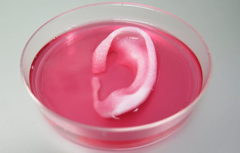 Scientists Just 3D Printed a Transplantable Human Ear