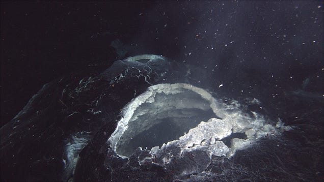 An Undersea Volcano May Be Erupting Off The US Northwest Coast