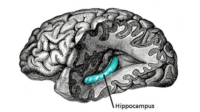 ¿Qué le ocurre al cerebro cuando te emborrachas y no recuerdas nada?