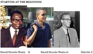 Bombshell: Obama Malcom X Love Child?