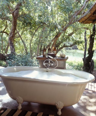 Who Doesn't Want to Live In This House With Elephants In the Garden?