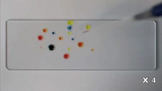 These Colorful Liquid Droplets Chase Each Other Like Living Organisms
