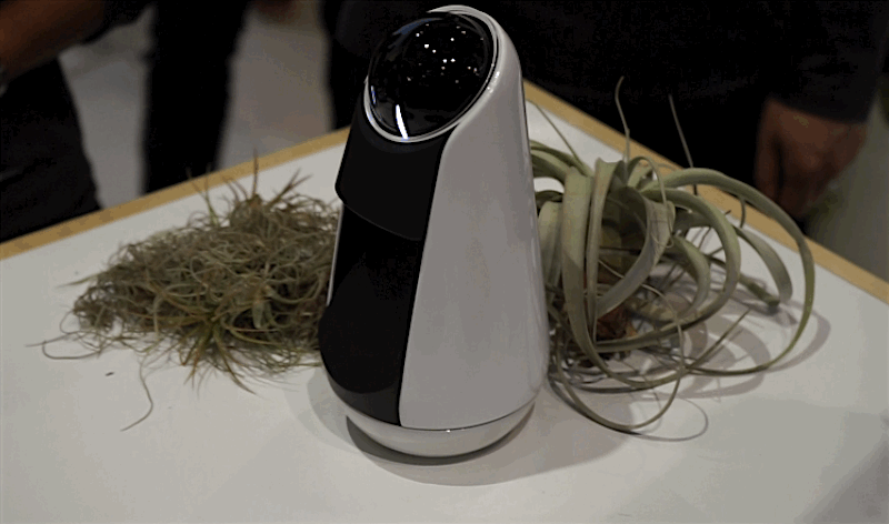 Xperia Eye, Projector y Agent: así son los inquietantes prototipos conectados de Sony