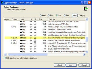 Complete the Cygwin setup and restart if necessary.