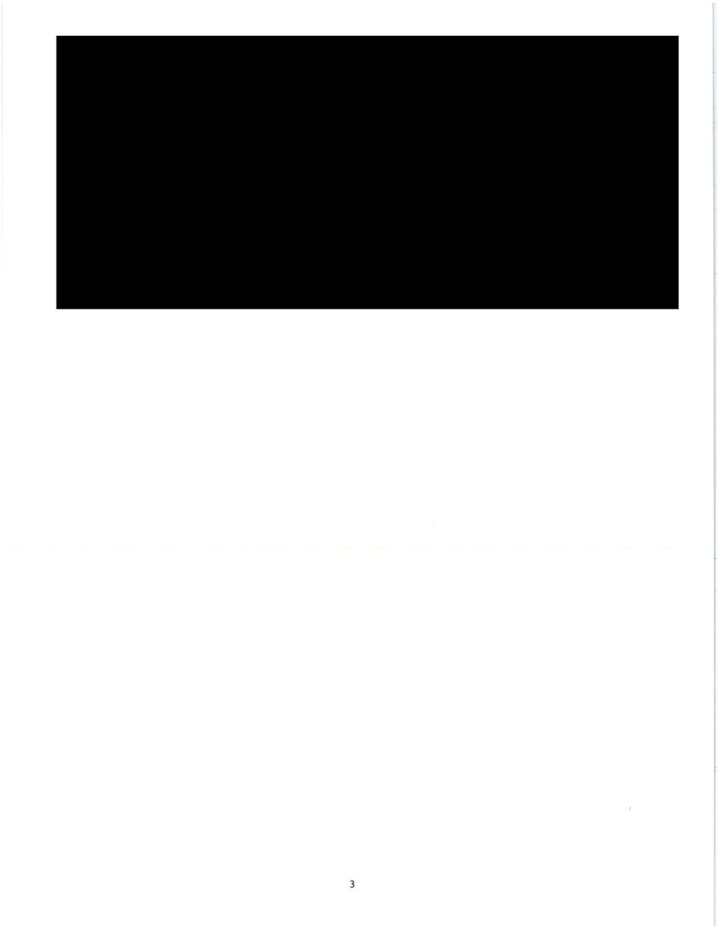 What Do You Think Is in These 73 Straight Pages of Fully Redacted Emails?