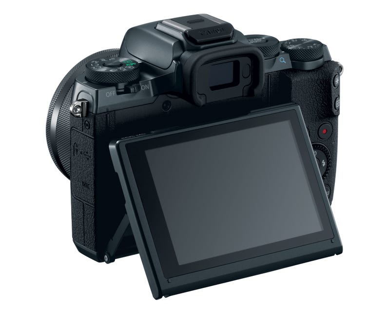 best mirrorless frame camera canon