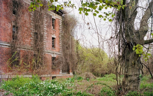 Island In New York Looks Like The Last Of Us