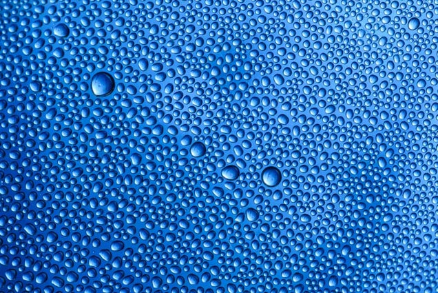 33 Photos Taken In One Amazing Color
