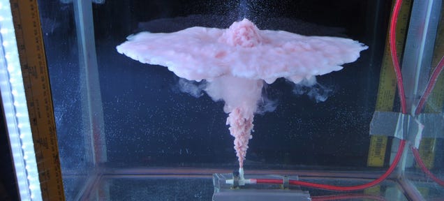 This Disgusting Pink Plume Could Help Us Clean Up Oil Spills
