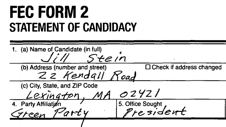 Vote for One of These Underdog Candidates This Election Day