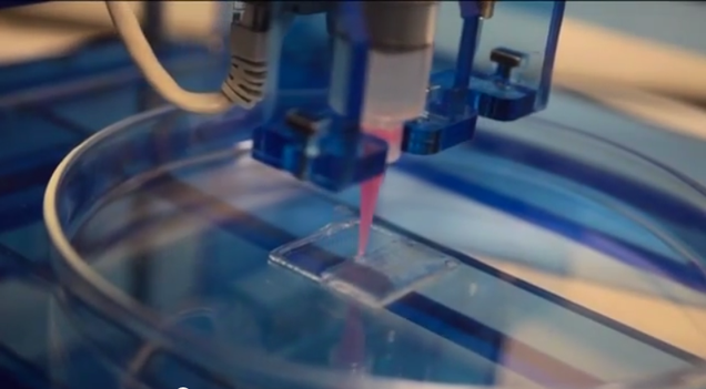 How 3D Printers Are Cranking Out Eyes, Bones, and Blood Vessels