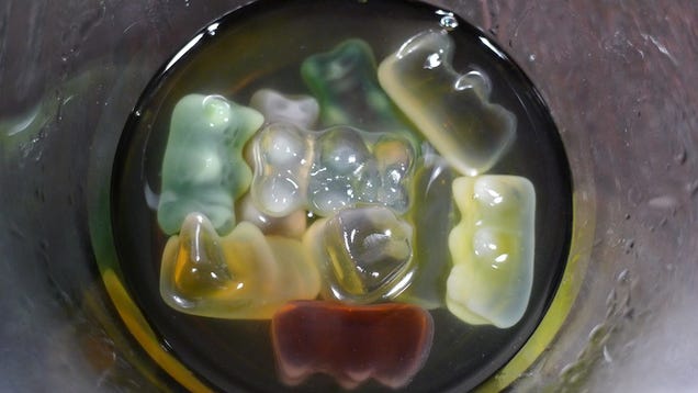 Get Really Drunk Off Gummi Bears