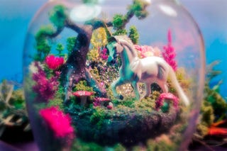 Star Wars terrariums bring a little piece of Dagobah into your home