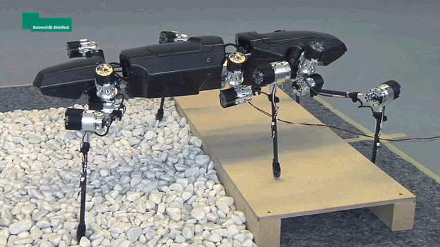 ドイツの科学者達が作ったのは、悪夢のような1メートルの虫型歩行ロボット