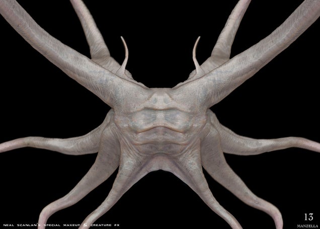 Prometheus concept art puts us face-to-sucker with the movie's creatures