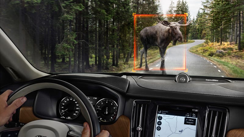 Volvo Is Adding 'Large Animal Detection' to Cars Because It's Easy to Miss a Moose?