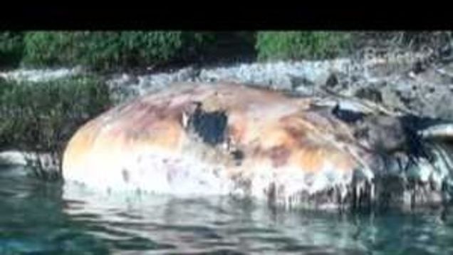 io9 Roundup: September 18, 2011