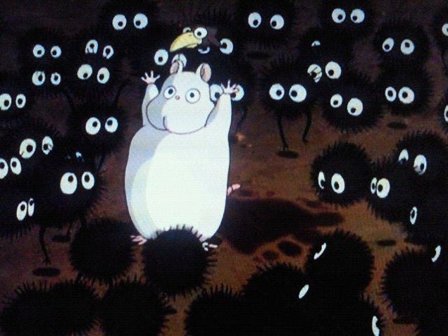 Cat Looks Just Like a Studio Ghibli Character