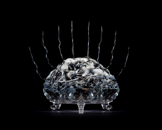 Still-life photos of rotting food are strangely beautiful